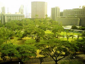 Green city