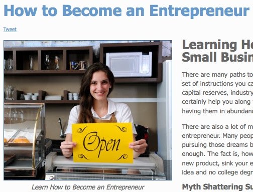 The Small Business The Small Business
