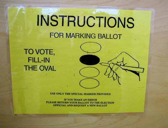 Voting instructions Voting instructions